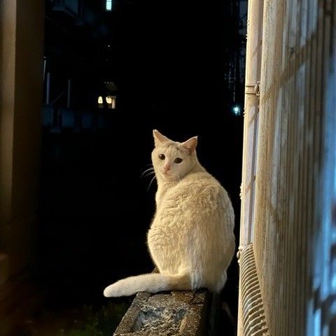 ぼくも入りたいな‥