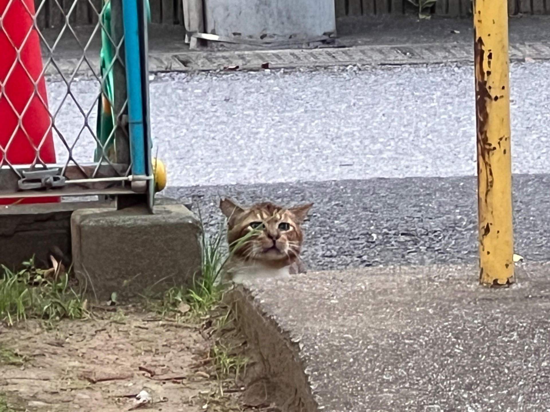 大丈夫？いない？