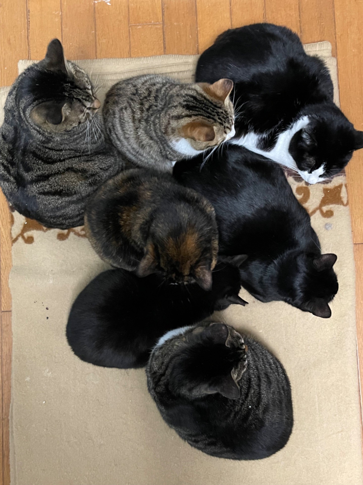 みんな仲良し