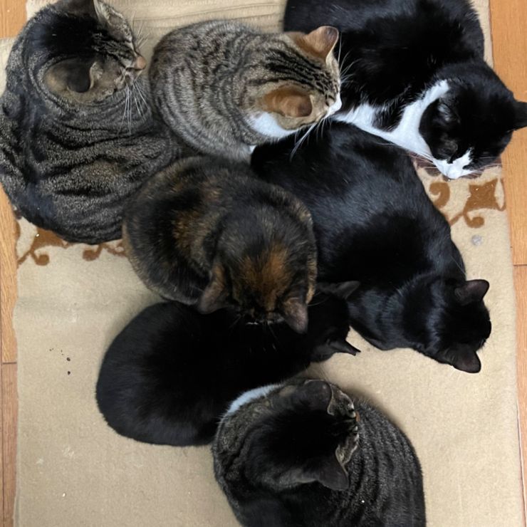みんな仲良し