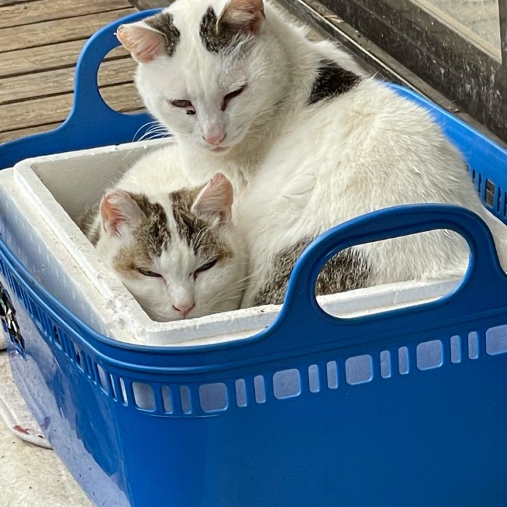 仲良し