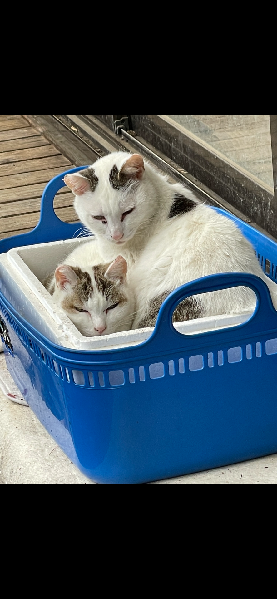 仲良し