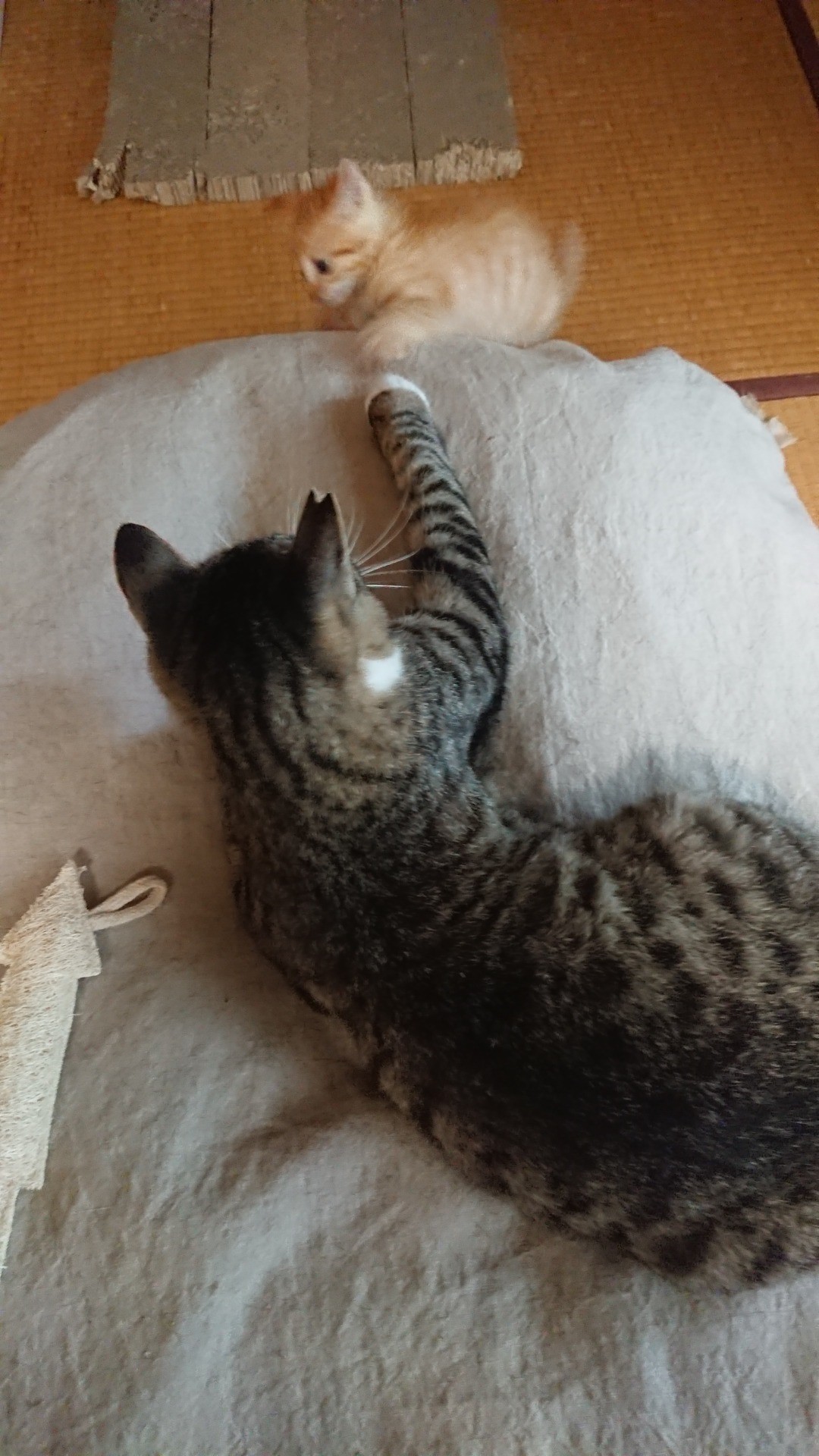 High five!!