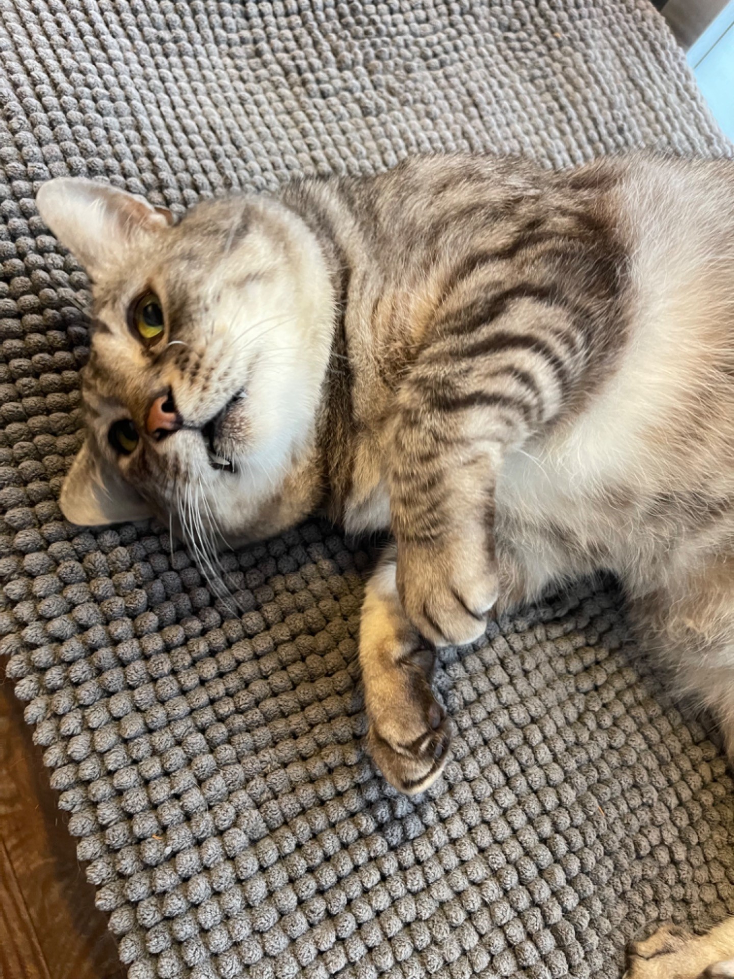 幸せ太り