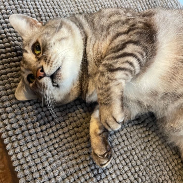 幸せ太り