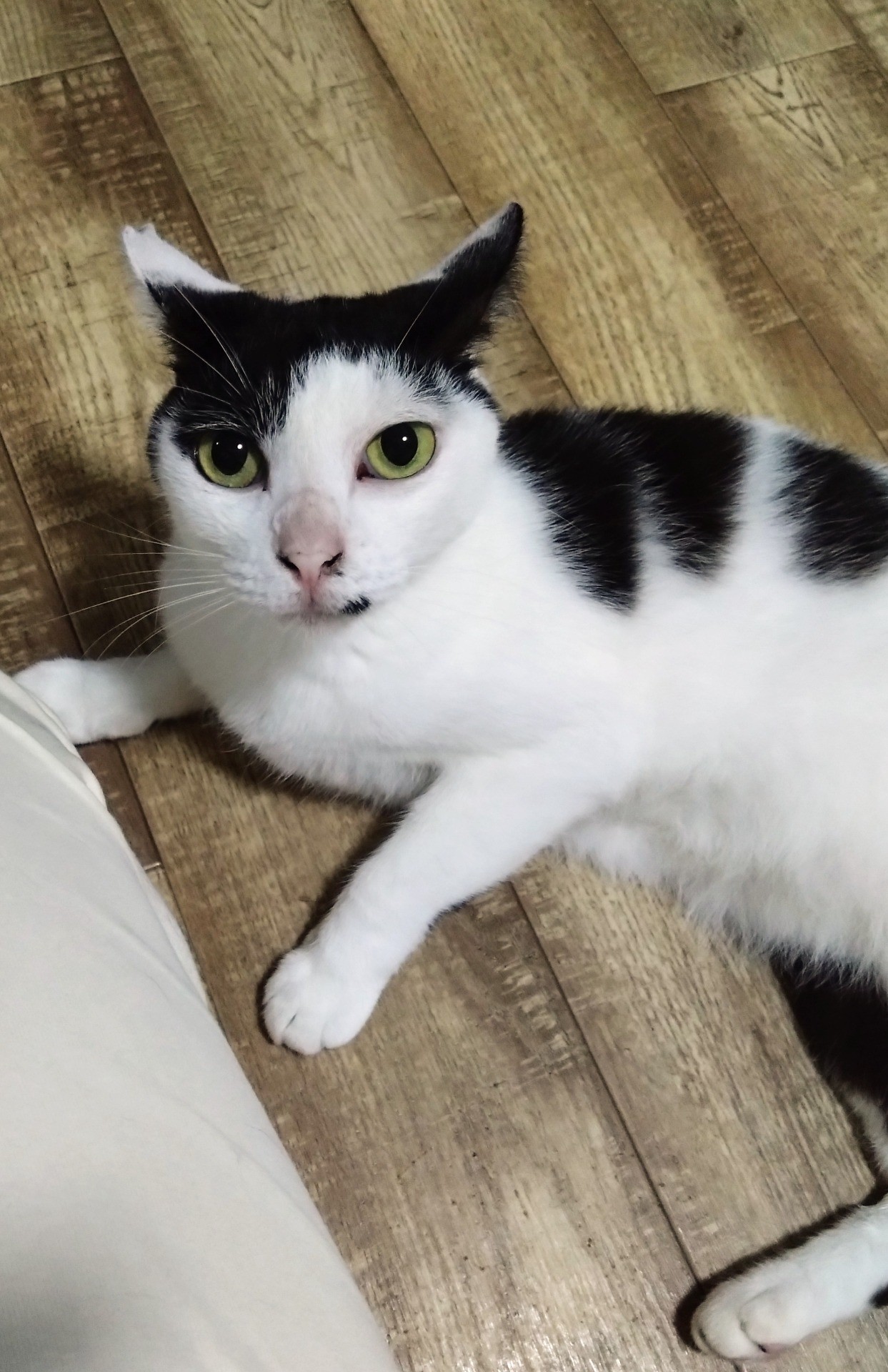 もう6歳