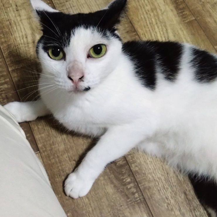 もう6歳