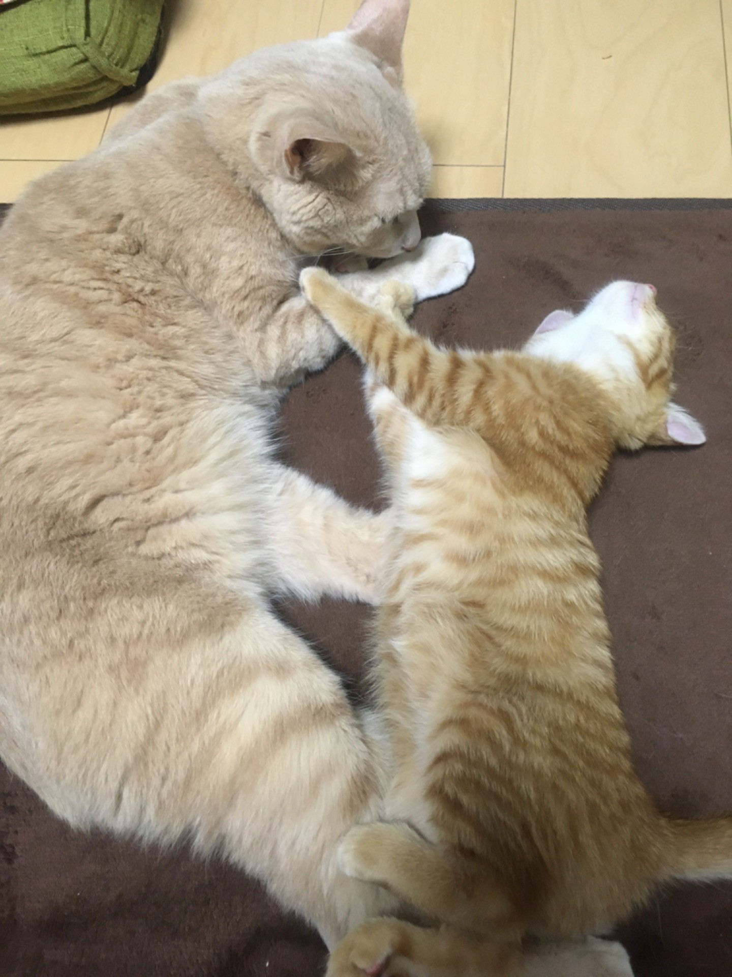 優しいミルクン