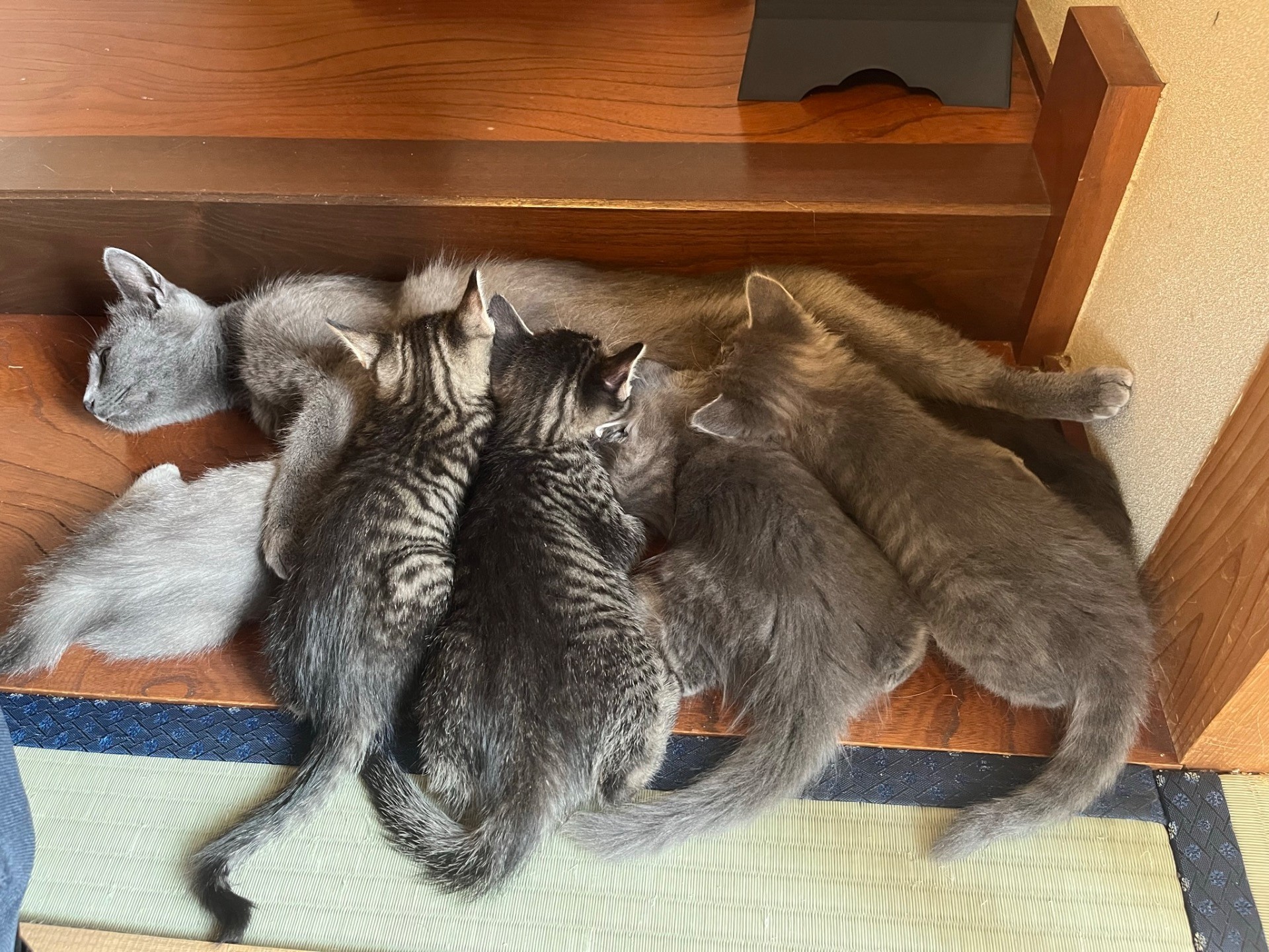 初めてのお産