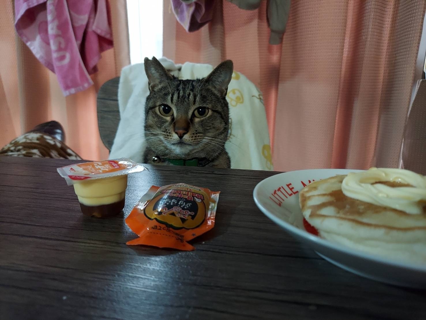 ぼくの朝ごはんはこれですか