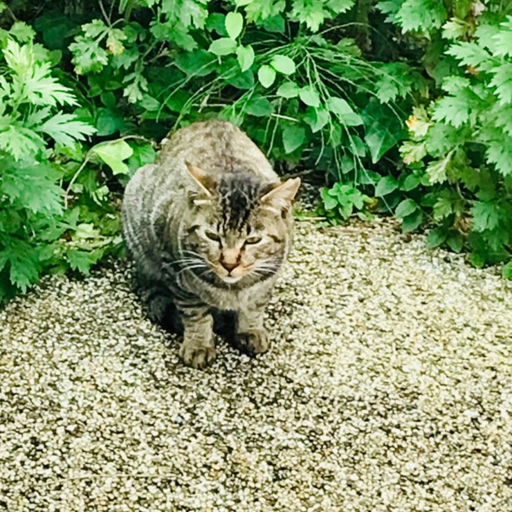 生きる為に
