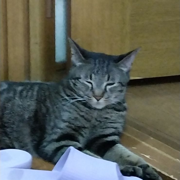ここが涼しいかなぁ～