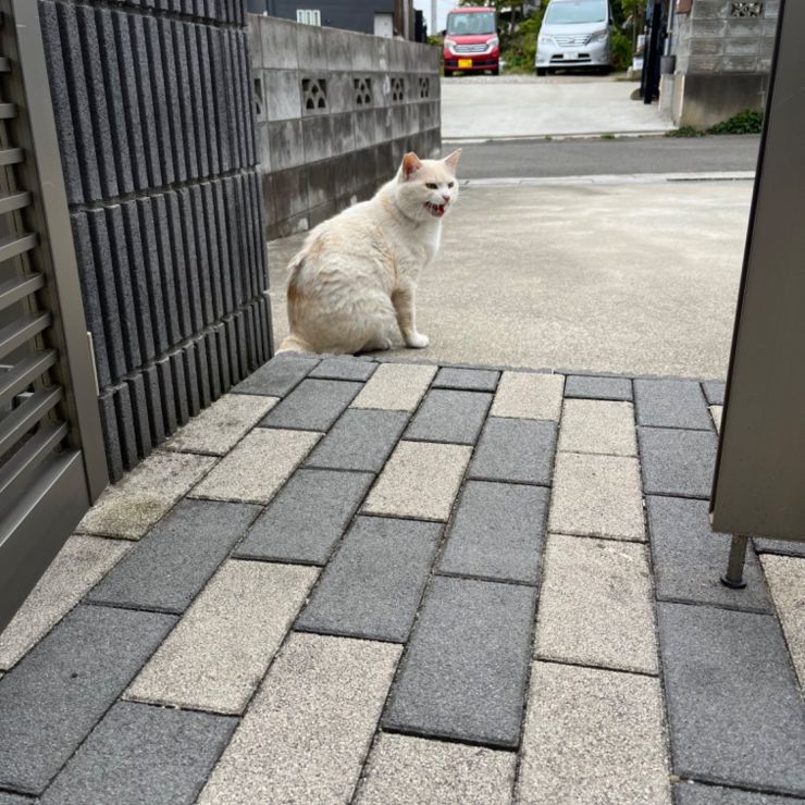 ご飯ちょうだ〜い❗️