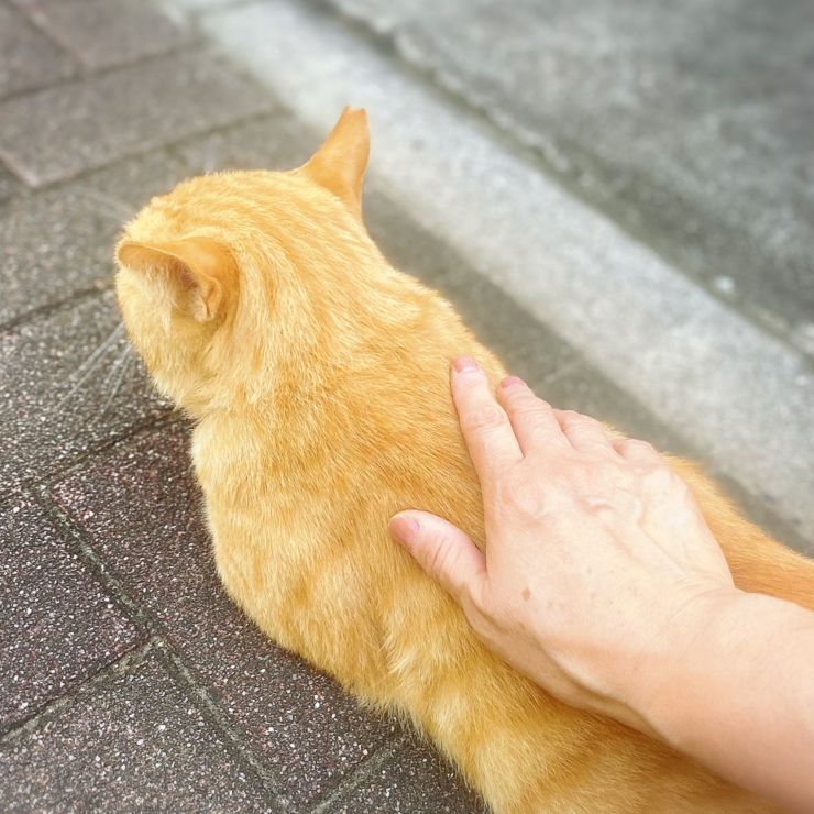 絆