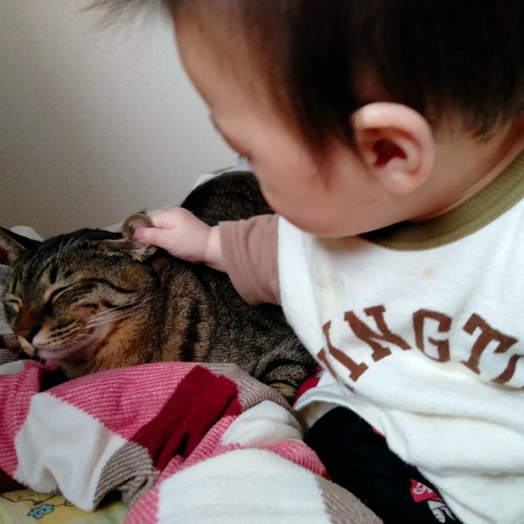 おにいちゃん