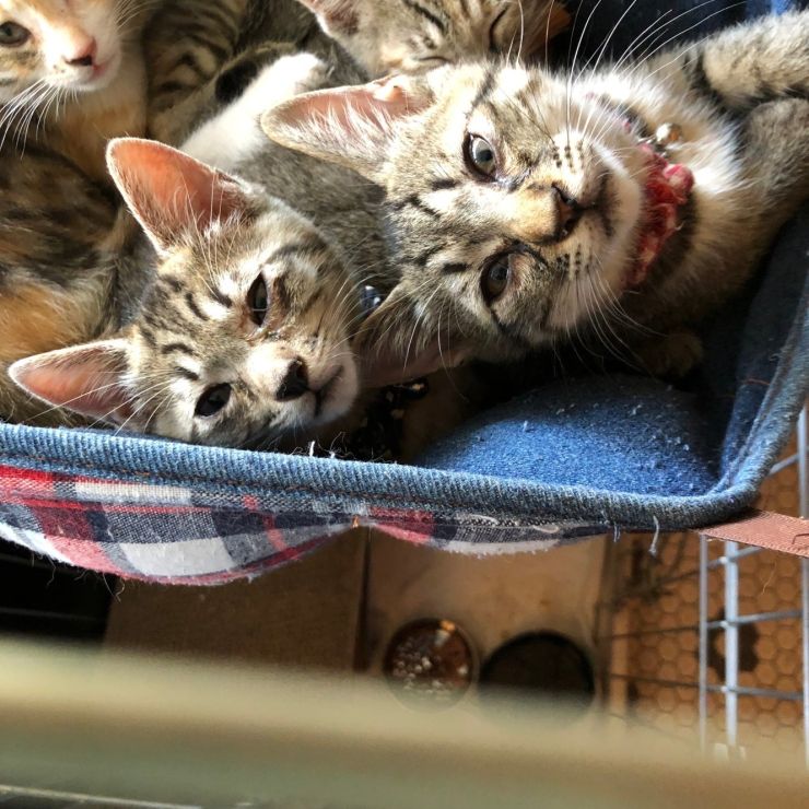 白血病に負けないから！