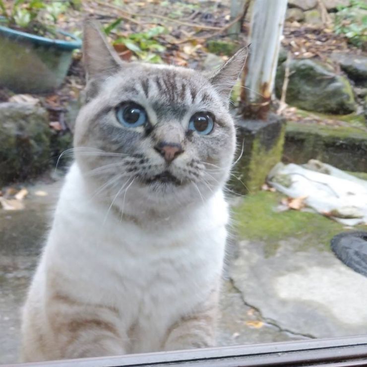 真冬に突然現れた子