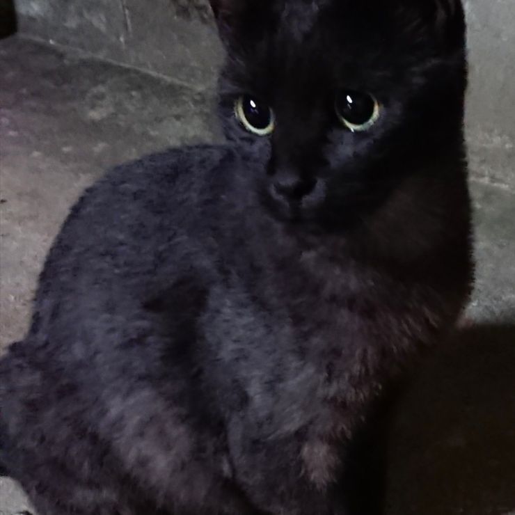 いのちの尊さ