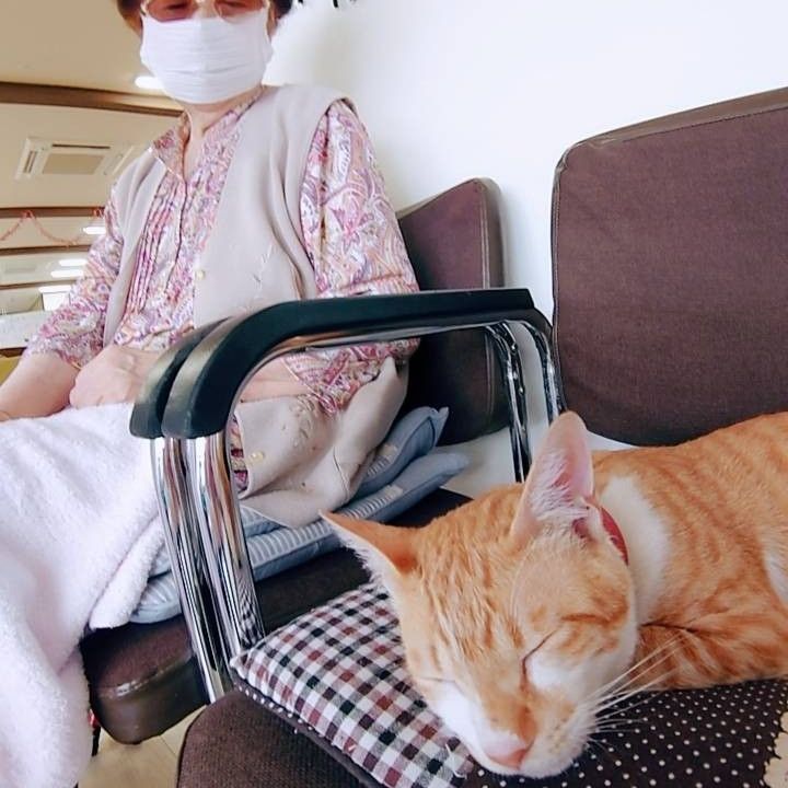 寒空の下突然現れた猫さん