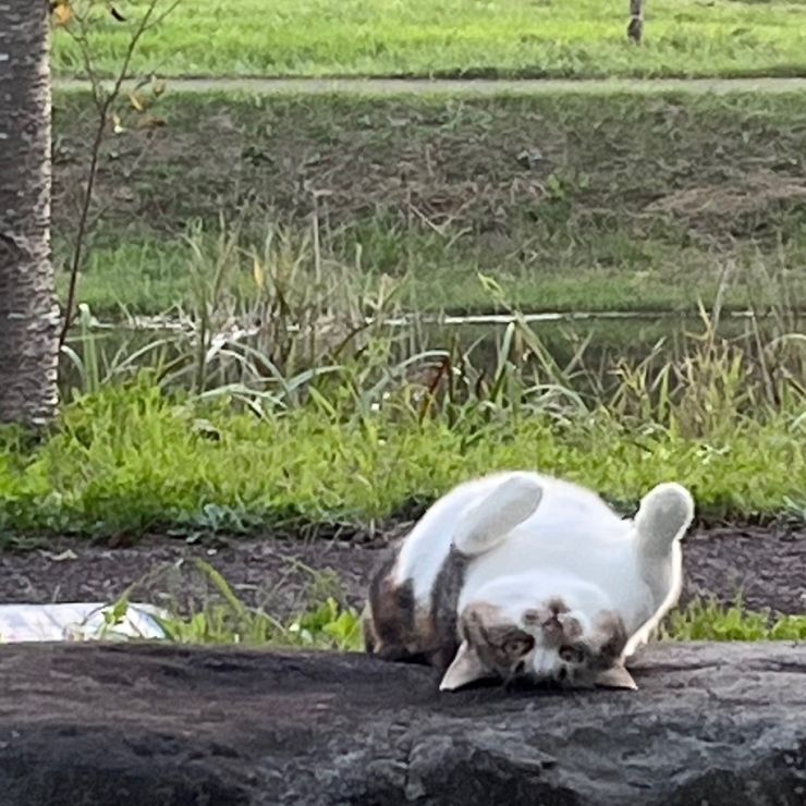 私を呼んだ？