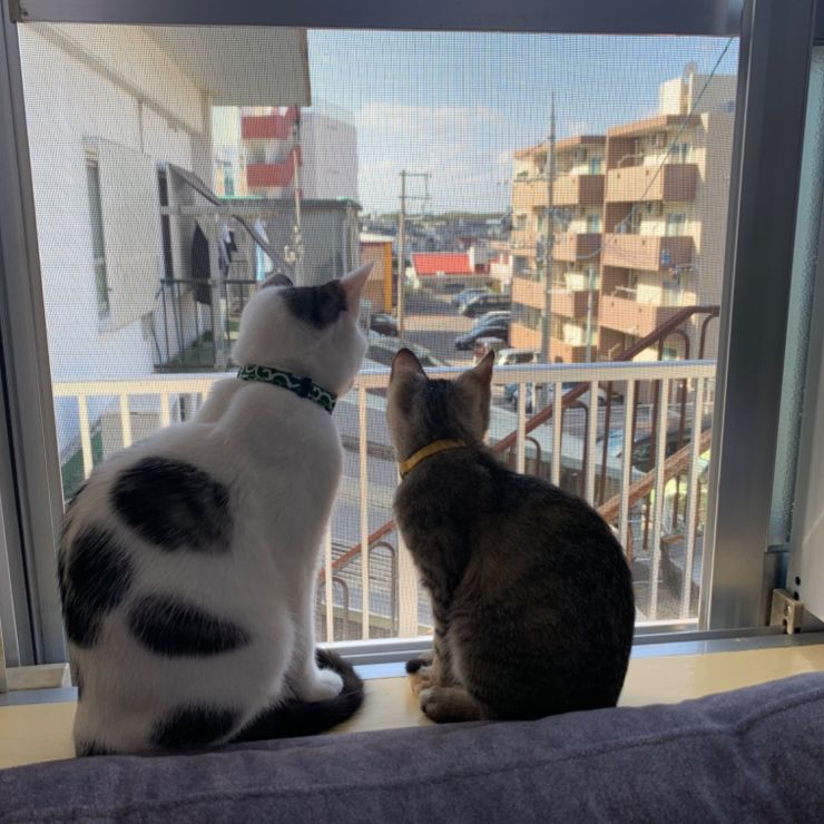 外の世界