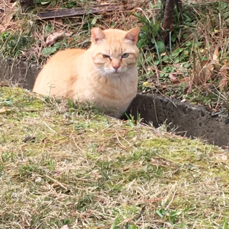 また会おうね