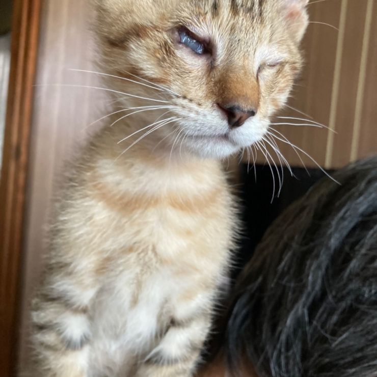 目が見えなくても