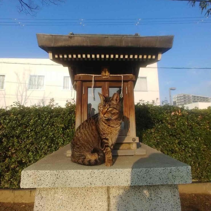 神さまと仲良し