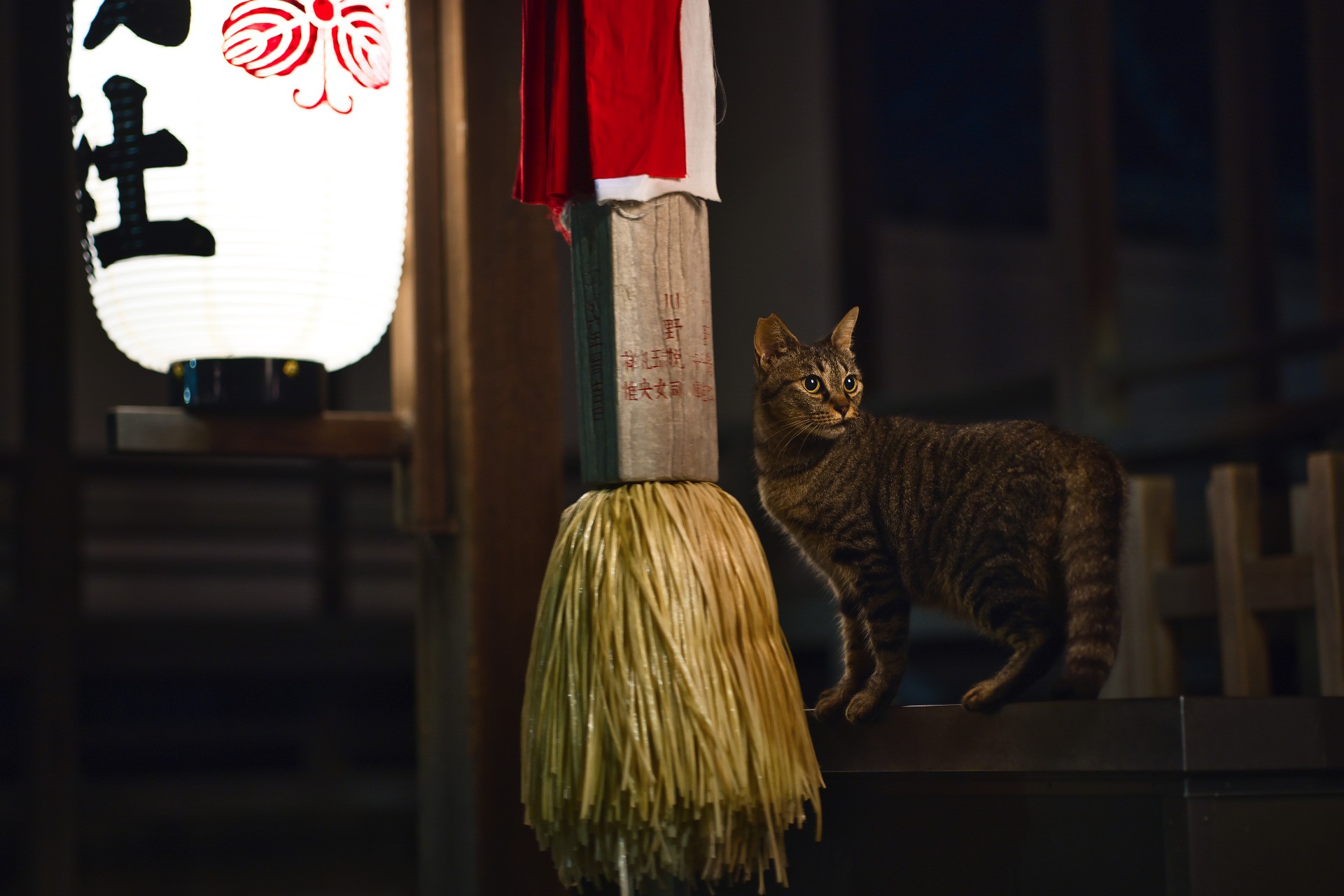 神の社が、我が根城