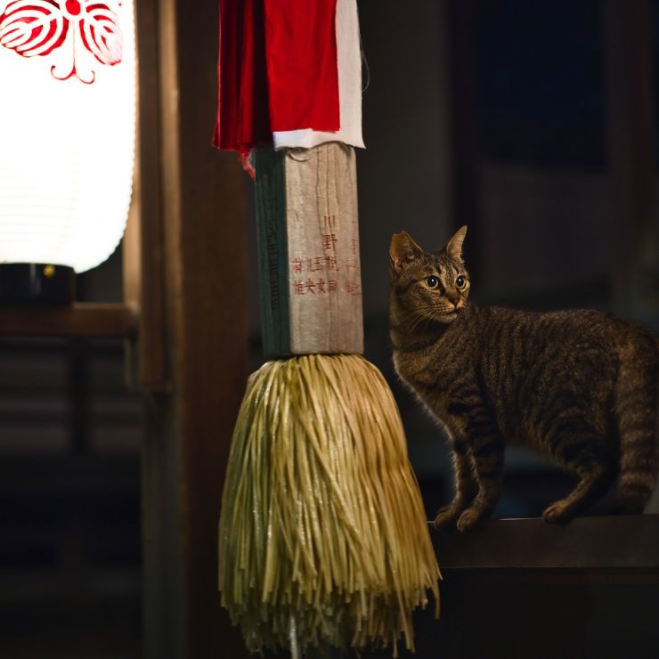 神の社が、我が根城