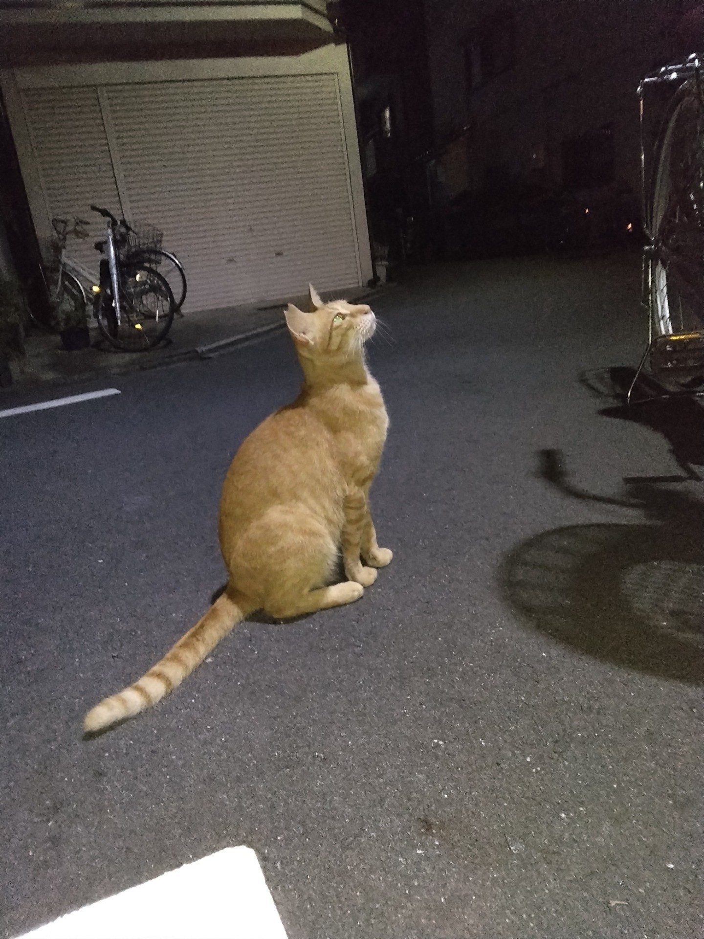 幸せになりたいんだ！