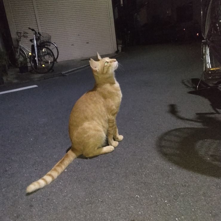 幸せになりたいんだ！