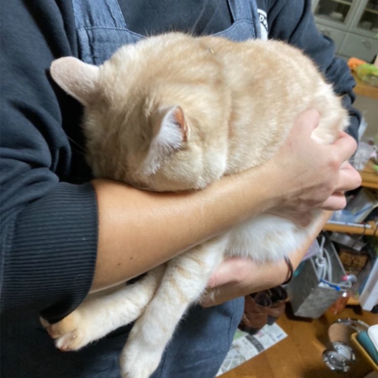 8年目で編み出した。