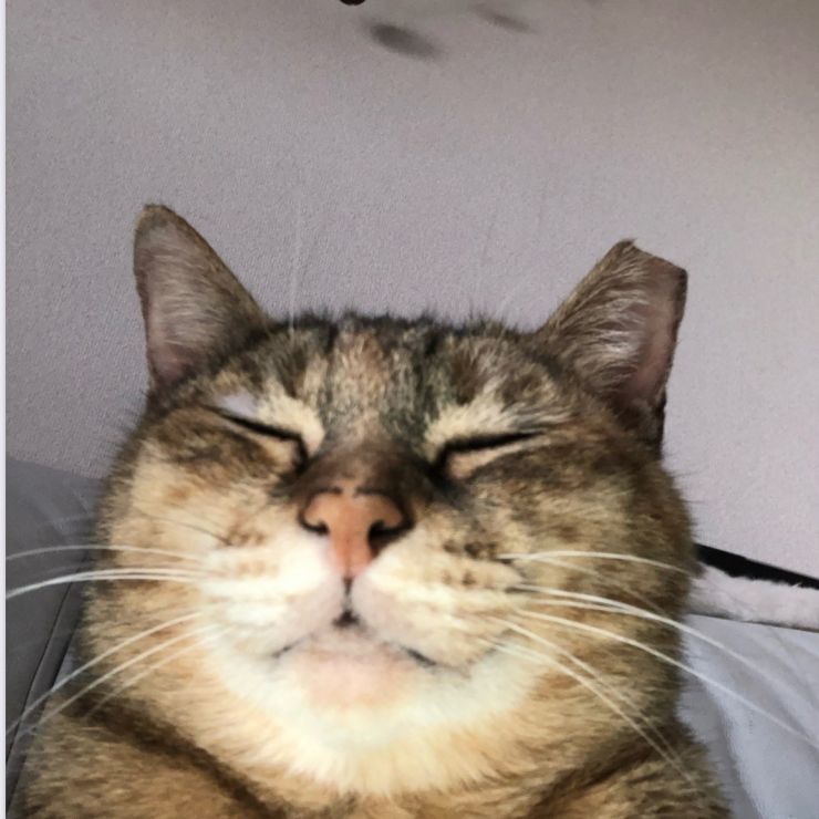 暖かい毛布の上で…