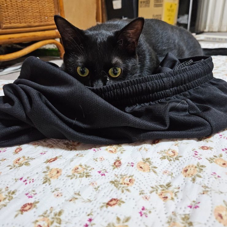 お父さんのにおい