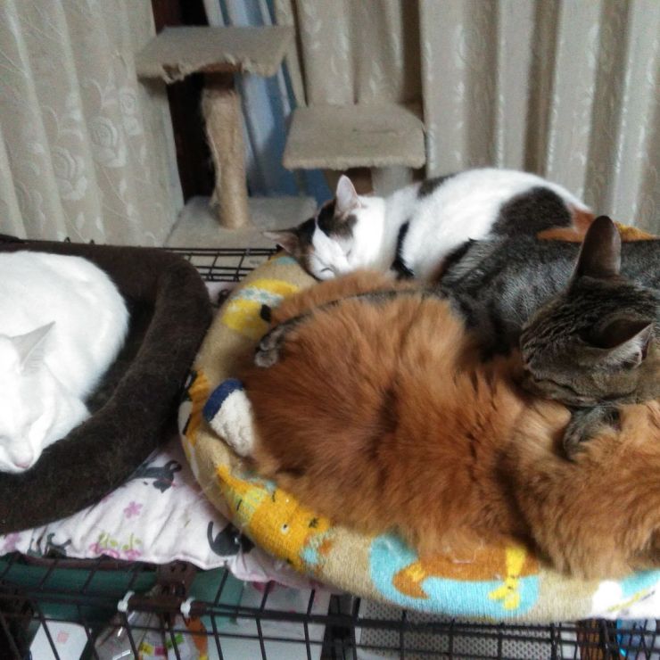 仲良し