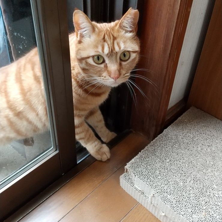 こんにちは!