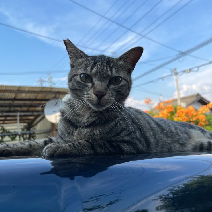 My Car!