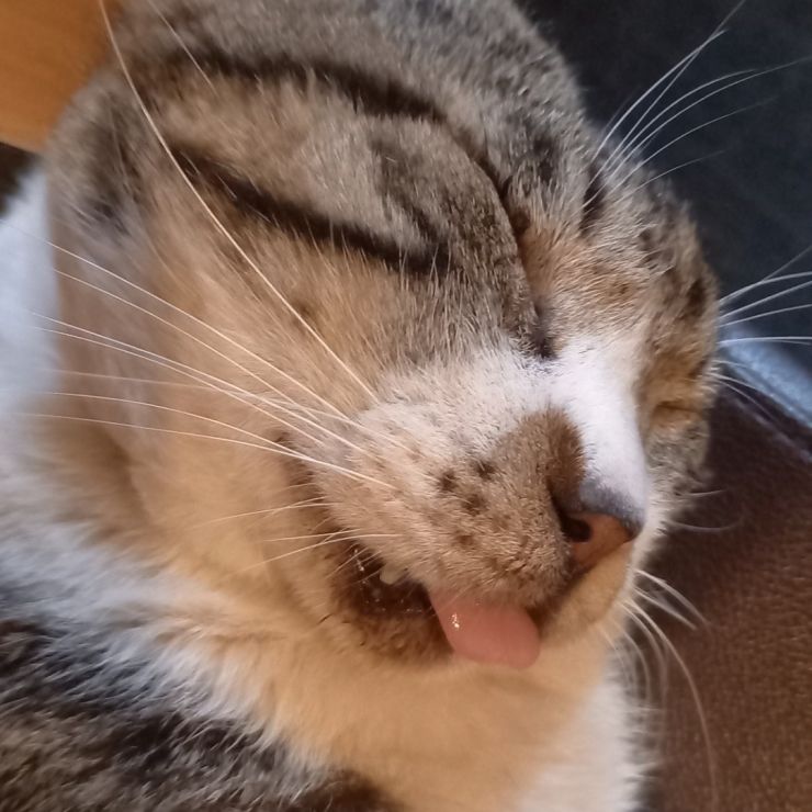 でちゃってますけど