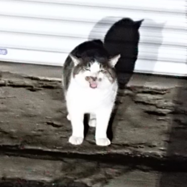 待ってたよ