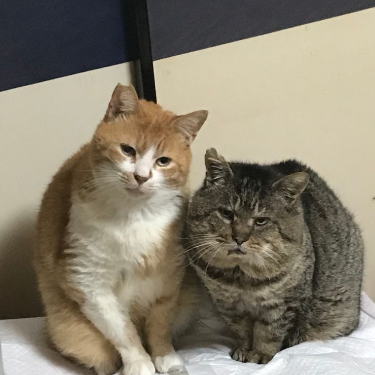 ふたりぼっち