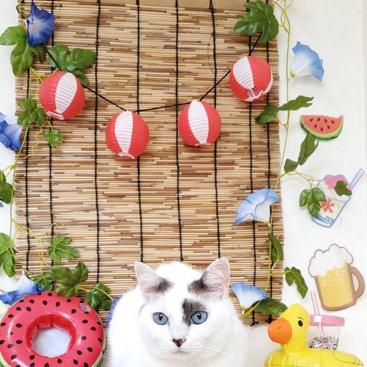 マリーの夏祭り