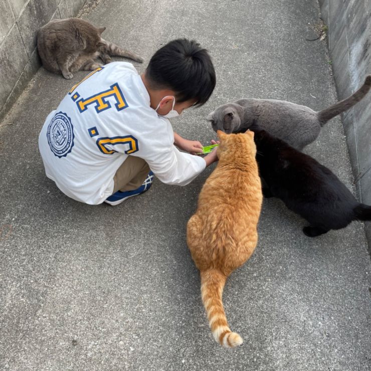 来てくれたの？
