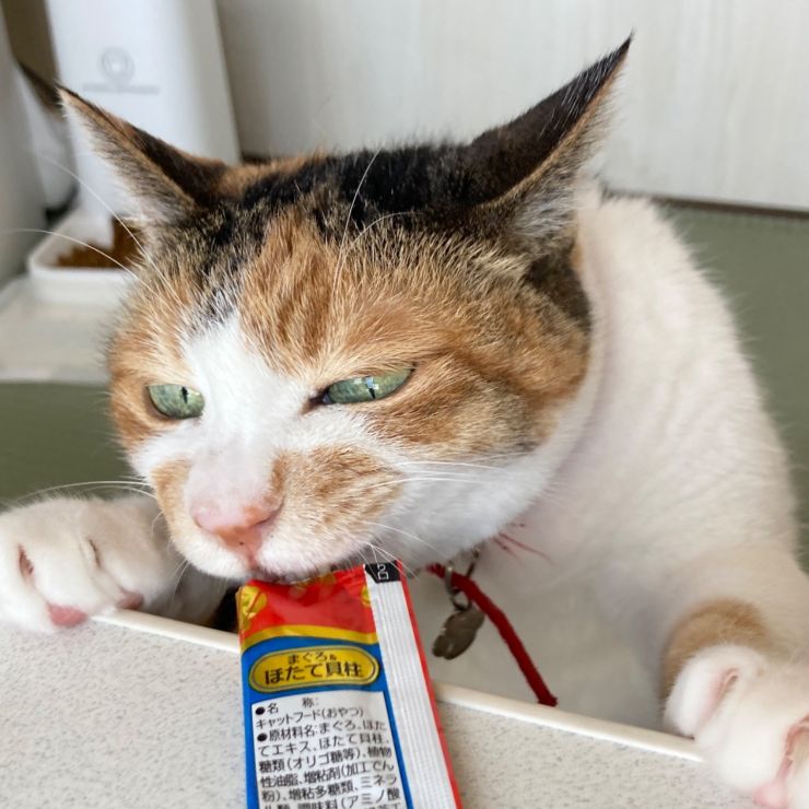 おやつに全力投球‼︎