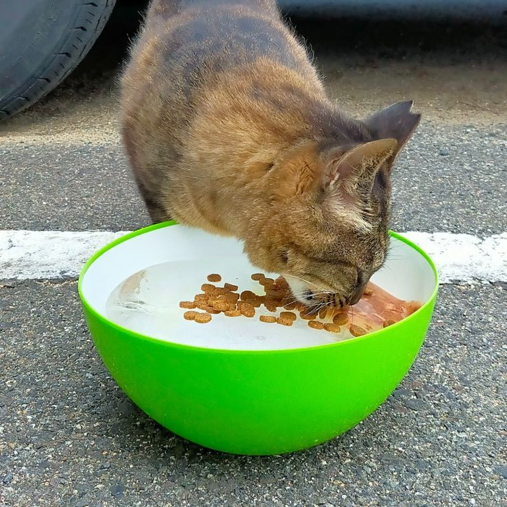 こんな冷たいの初めて