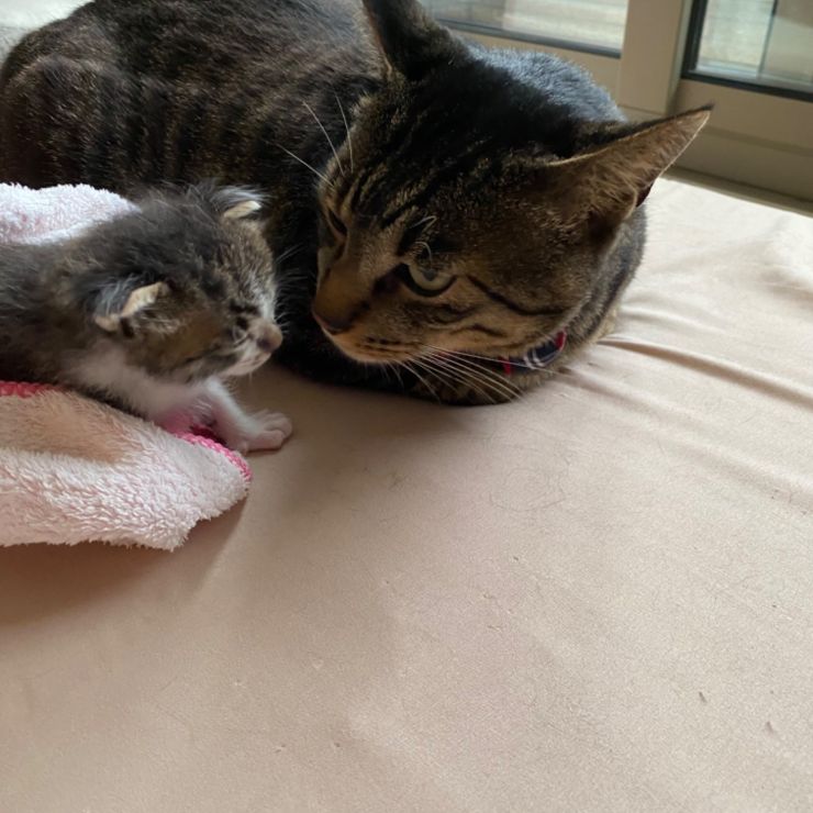お兄ちゃんが守ってあげるね