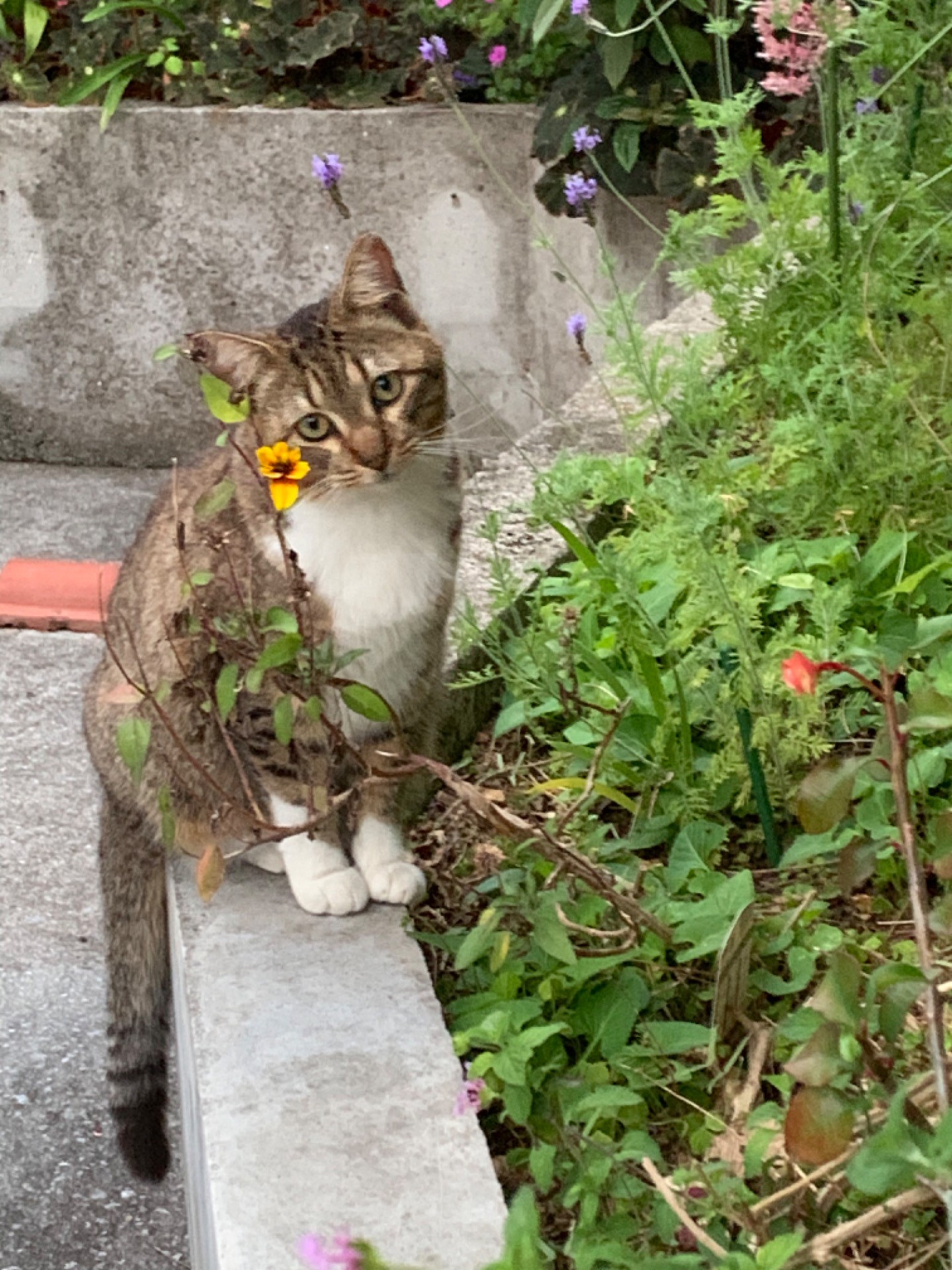 心落ち着く場所