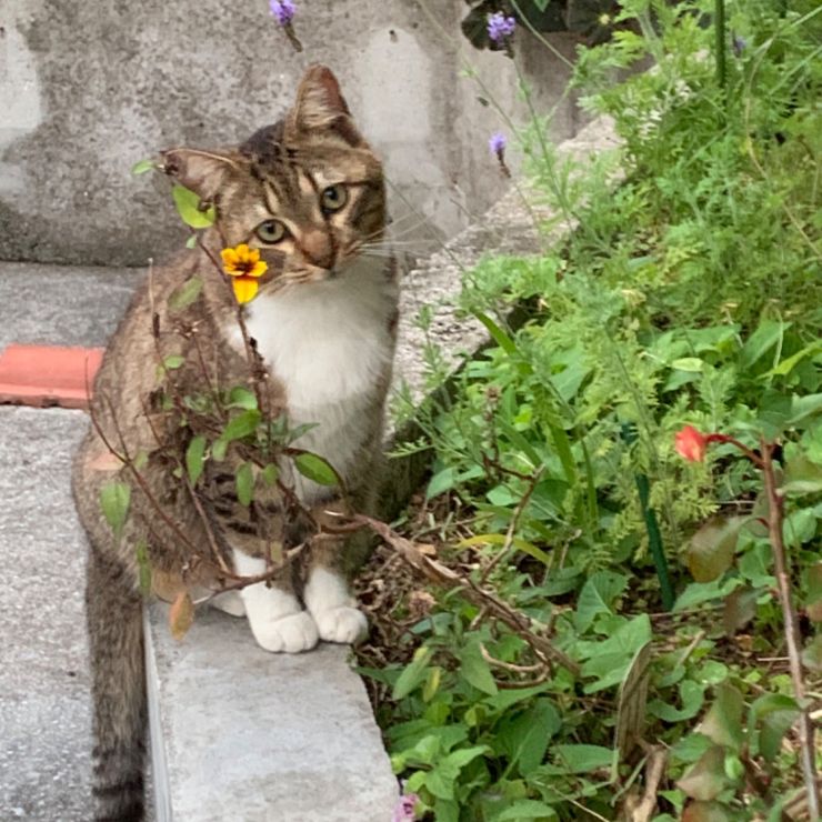 心落ち着く場所