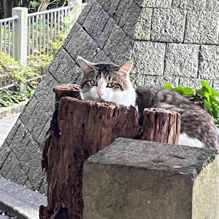 スッポリちょうどいいサイズ