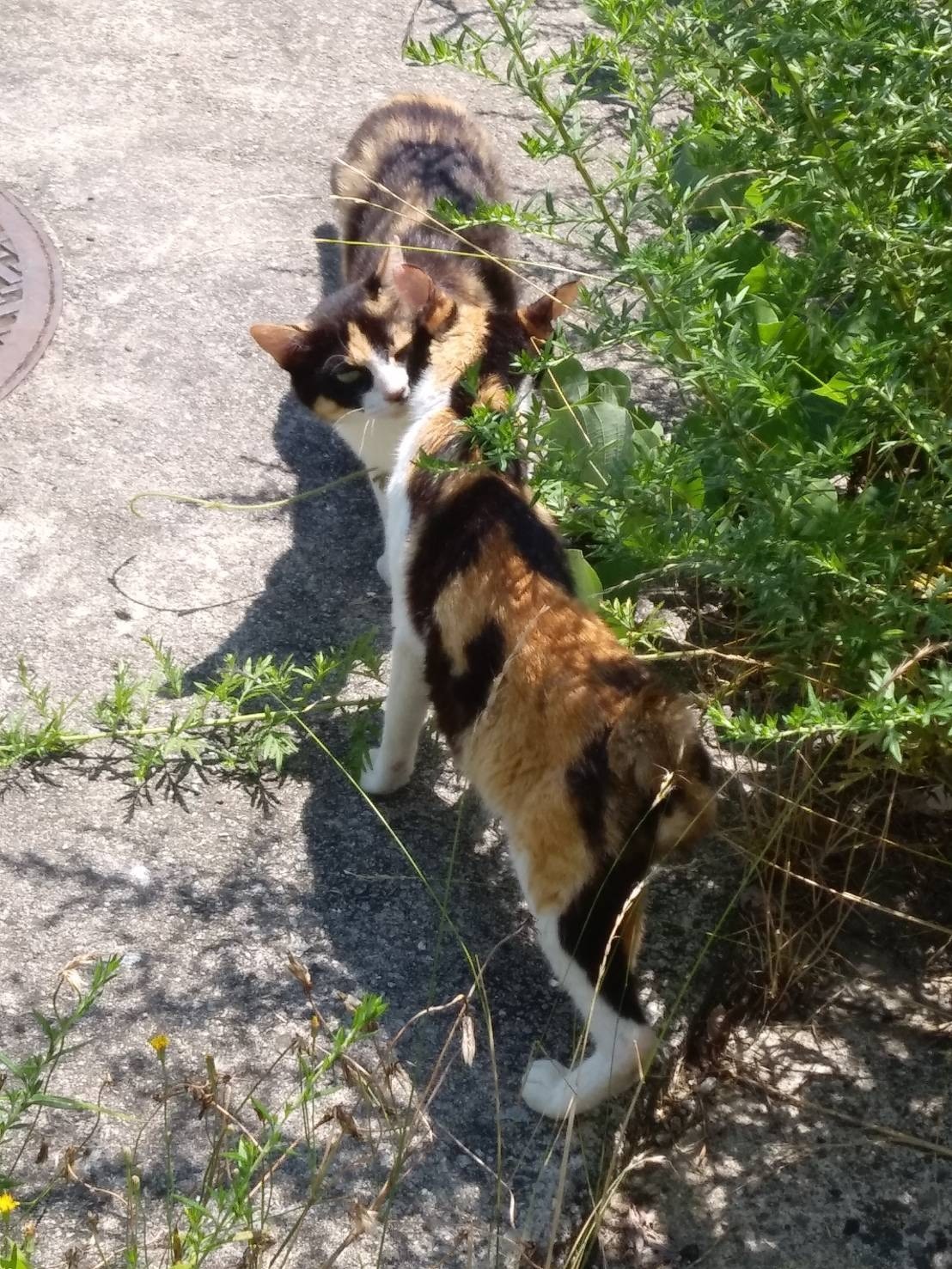 おかえり〜待ってたよ。
